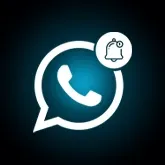 Magento WhatsApp Order Notification